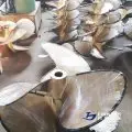 big ratio propeller